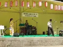 和楽器三重奏（写真）