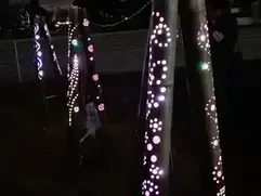 写真：竹灯り