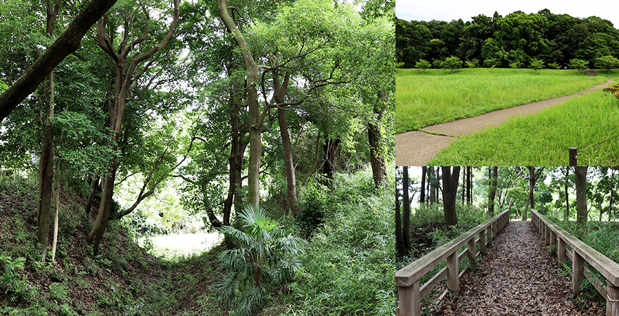 守谷城址（史跡）