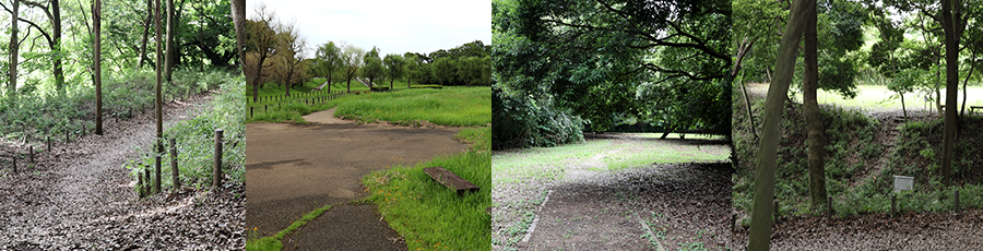 守谷城址の写真