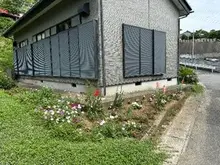 花植込みの様子