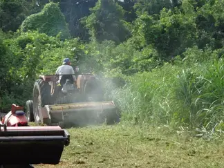 除草作業の様子（2）