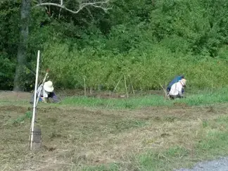 除草作業の様子（3）