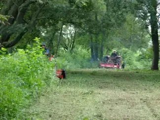 除草作業の様子（5）