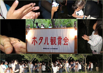 ホタル鑑賞会