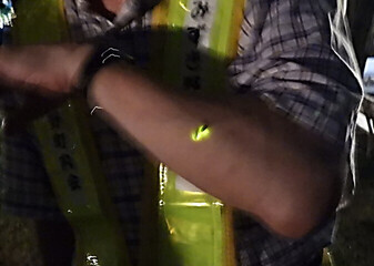 ホタルが腕で光る