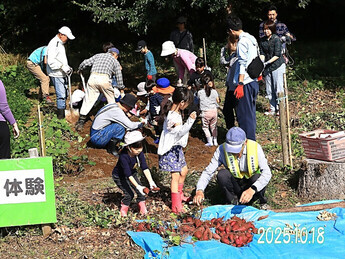 親子芋掘り＆落花生掘り体験会（1）