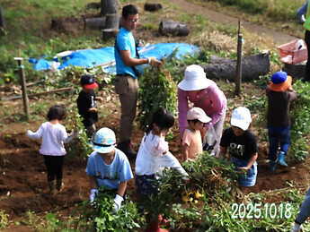 親子芋掘り＆落花生掘り体験会（3）