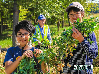 親子芋掘り＆落花生掘り体験会（4）