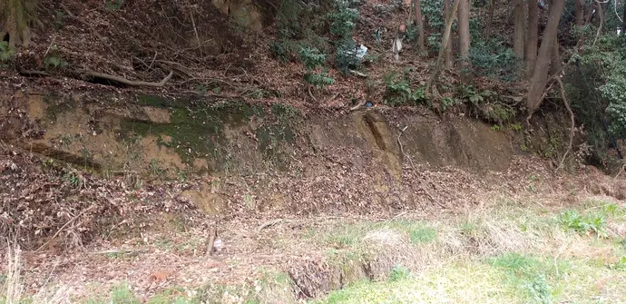 鬼怒川岸の古道