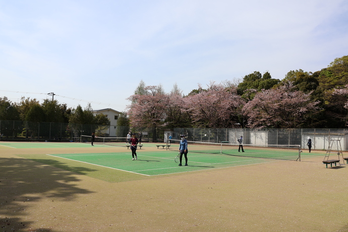 立沢公園のテニスコート