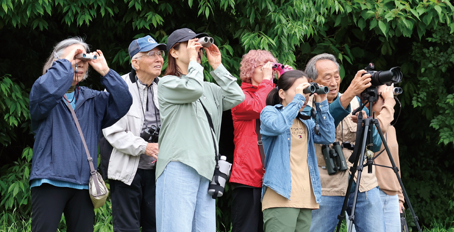 写真:野鳥観察会で野鳥を探す参加者