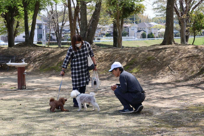 けやき台公園で犬を散歩させる人