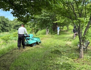 除草作業の様子（5）
