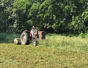 除草作業の様子（6）