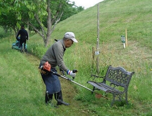 除草作業の様子（2）